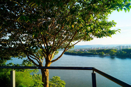 环境 公园 自然 天空 美丽的 风景 旅行 森林 夏天