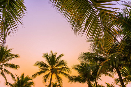 复古的 日落 热带 植物 风景 夏天 旅行 泰国 海洋 棕榈