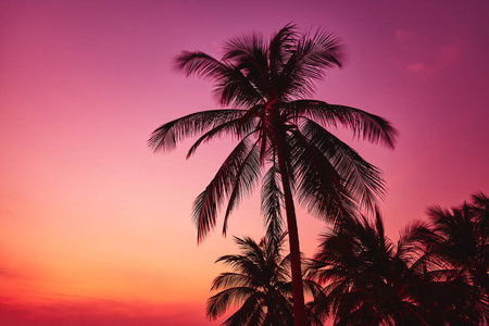 太阳 高的 天堂 棕榈 亚洲 泰国 假日 热带 怀旧 颜色
