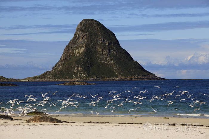 海滩 挪威 斯堪的纳维亚 拖钓 海鸥 帽子 岛屿 岩石