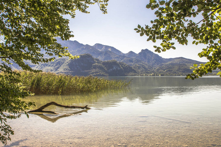 瑞士 旅游业 森林 阿尔卑斯山 德国 风景 美女 夏天 美丽的
