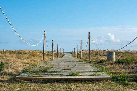 夏天 地平线 太阳 自然 海滩 天空 海岸 海洋 海岸线