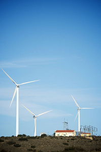植物 天空 创新 技术 塔架 能量 环境 磨坊 风车 生产