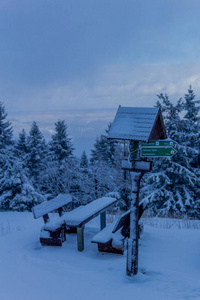 步行 德国 滑雪 欧洲 旅行 轨道 自然 美女 场景 图林根