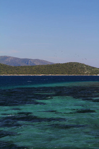 地平线 菩提树 全景 天空 海湾 颜色 旅行 旅游业 海洋