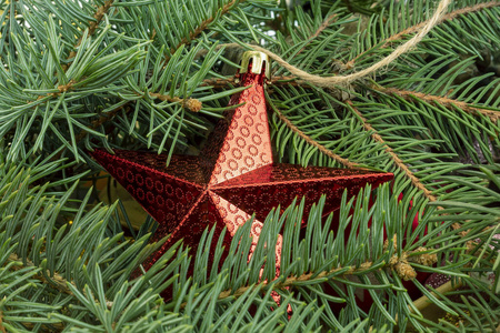 分支 冬天 愉快的 新的 庆祝 松木 明星 圣诞节 云杉