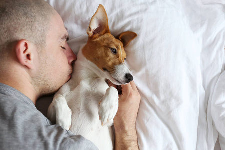 可爱的 美丽的 宠物 繁殖 猎犬 公司 面对 同伴 毯子