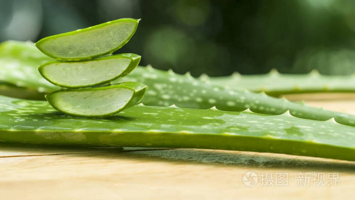 植物学 皮肤 植物区系 凝胶 治疗 滋润 健康 照顾 成长