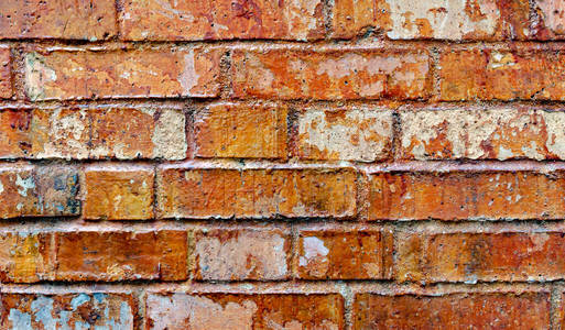 以砖红磨坊为背景照片