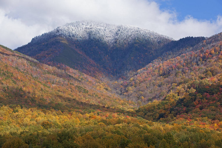 环境 国家的 秋天 风景 田纳西州 荒野 内容 伟大的 美丽的
