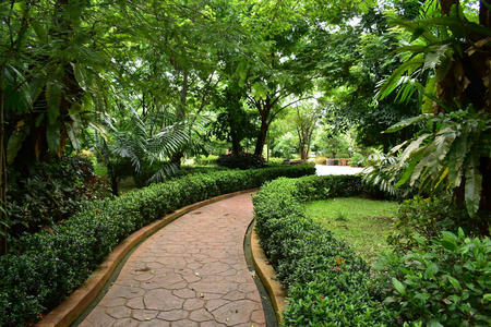 环境 郁郁葱葱 春天 路面 植物区系 夏天 后院 自然 花的