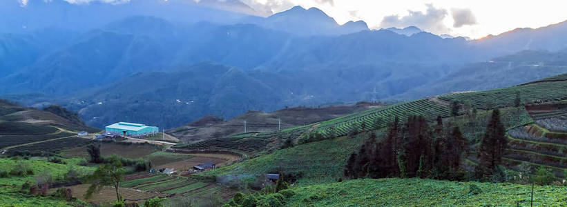 领域 夏天 全景图 西贡 日出 小山 轮廓 瓷器 早晨 山谷