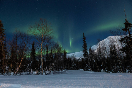 北极绿色极光北极极光冬季活动芬兰，拉普兰