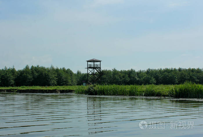 森林 旅行 休闲 旅游业 高加索 风景 阿纳克利亚 格鲁吉亚