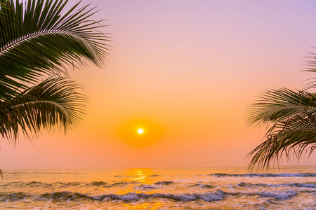 美丽的 日落 夏天 自然 旅行 风景 椰子 太阳 加利福尼亚