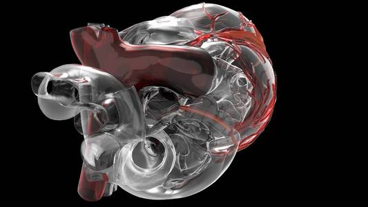 人工心脏三维绘制模型图片