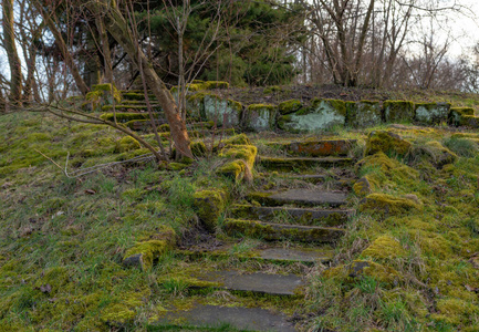 旅行 美丽的 花园 建筑学 苔藓 楼梯 岩石 步行 植物