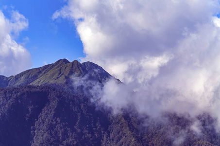 小山 森林 全景图 夏天 全景 岩石 自然 草地 场景 阿尔卑斯山