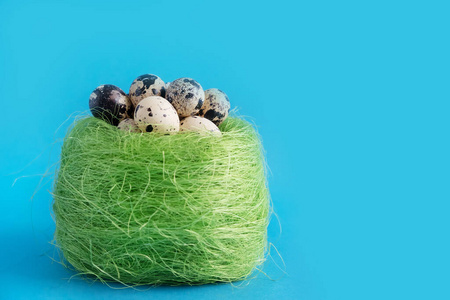 动物 鸡蛋 烹调 假日 美味 鹌鹑 产品 蛋白质 蛋壳 春天