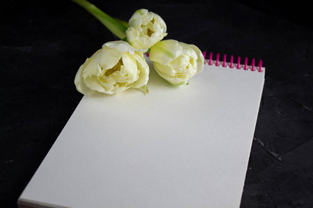 一张有信封和复印空间的白纸.照片