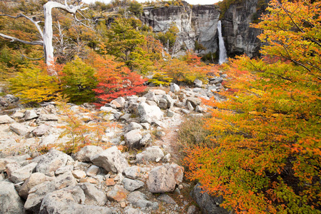 美国 追踪 秋天 颜色 国家的 风景 徒步旅行 安第斯山脉