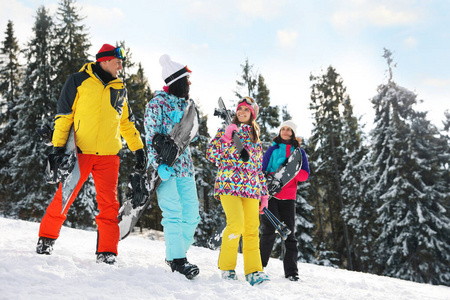 成人 微笑 滑雪者 阿尔卑斯山 下坡 天空 旅行 假期 闲暇