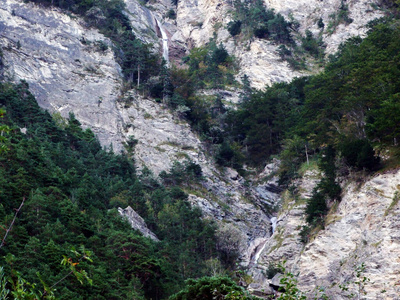 小溪 阿尔卑斯山 荒野 峡谷 瑞士人 高的 苔藓 自然 岩石
