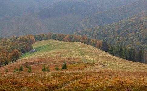 天空 全景图 旅行 小山 丘陵 秋天 自然 风景 国家 乡村