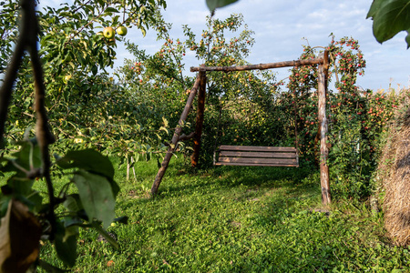 园艺 摆动 空的 公园 休息 手工艺品 复古的 花园 椅子