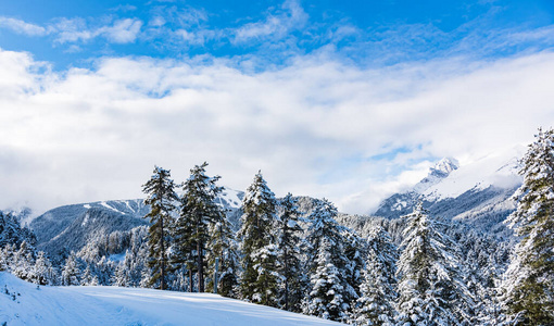 降雪 旅行 冬天 全景图 美丽的 假期 天空 童话 森林