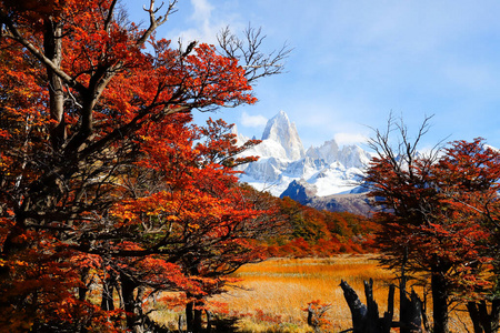 阿根廷 追踪 天空 菲茨罗伊 美国 美丽的 徒步旅行 假期