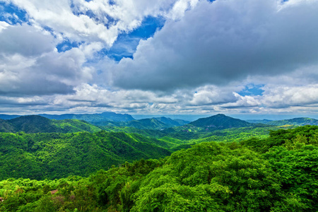 早晨 公园 环境 旅行 薄雾 山谷 岩石 松木 夏天 乡村