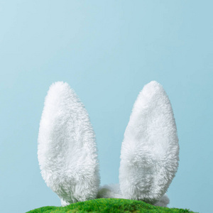 兔子耳朵从绿草中伸出来。