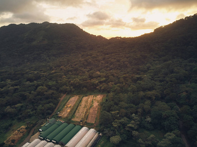 夏天 土地 农事 农田 天线 自然 可可 草地 飞机库 天空