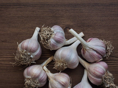 大蒜 桌子 烹饪 亚洲 电灯泡 植物 医学 素食主义者 特写镜头