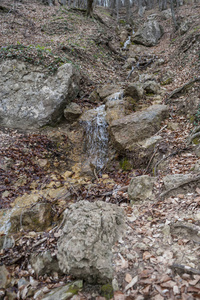 美丽的 落下 攀登 夏天 自然 小山 海岸线 培养基 旅行