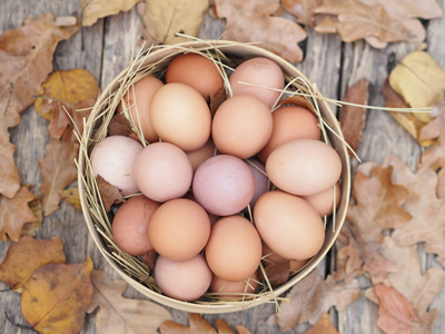 筛子 自制 树叶 农场 自然 篮子 桌子 产品 母鸡 蛋黄