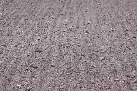 地球 沙漠 农业 领域 灰尘 材料 土地 花园 混凝土 栽培