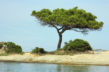 冲浪 美女 海滩 闲暇 放松 波动 天空 自然 旅行 海洋