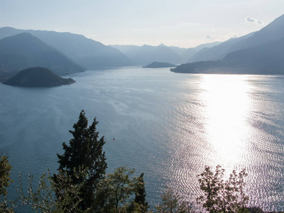 自然 全景 科莫 夏天 森林 意大利 情景 卡斯特罗 风景