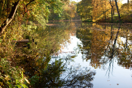 静闲秋林池。