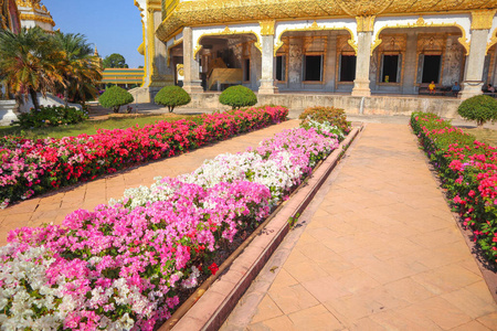 建筑 寺庙 泰语 信仰 佛教徒 传统 旅游业 曼谷 宗教