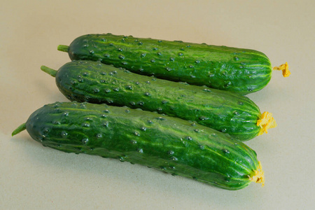 素食主义者 节食 沙拉 圆圈 小黄瓜 营养 植物 蔬菜 健康