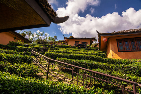 地标 自然 风景 种植园 旅游业 乡村 旅行 黎明 房子