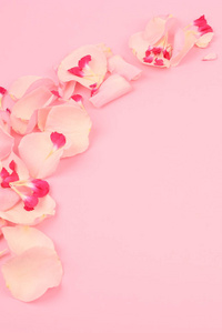 婚礼 粉红色 邀请 招呼 开花 浪漫 盛开 美丽的 作文
