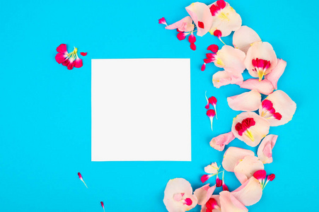 蓝色背景下粉红色花瓣的创意布局。空白卡片。复制文本空间。