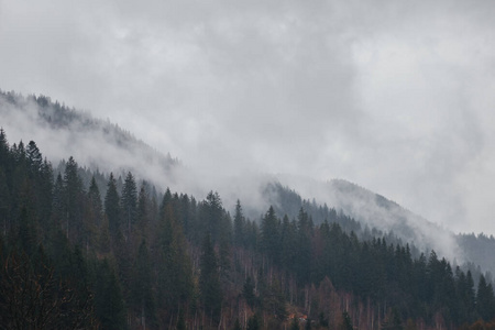 木材 环境 天气 旅行 小山 森林 美丽的 岩石 自然 瀑布