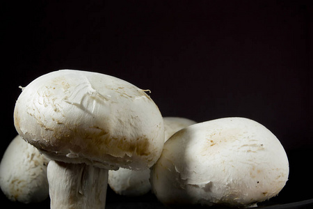 食物 真菌 美味的 西芹 植物 蘑菇 素食主义者 栽培 牛肝菌