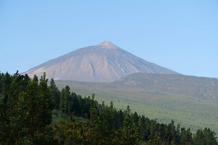 小岛 风景 陨石坑 上坡 熔岩 喷发 泰德 小山 森林 木材