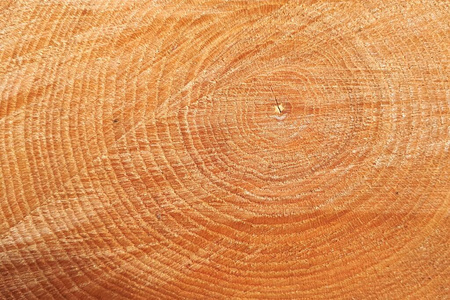 圆圈 橡树 木材 纹理 自然 古老的 粮食 戒指 材料 森林